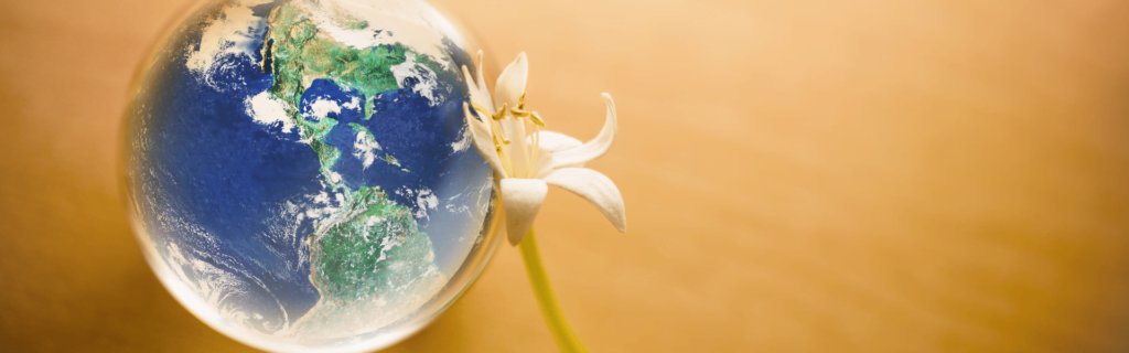 What Is Conscious Capitalism Anyway?